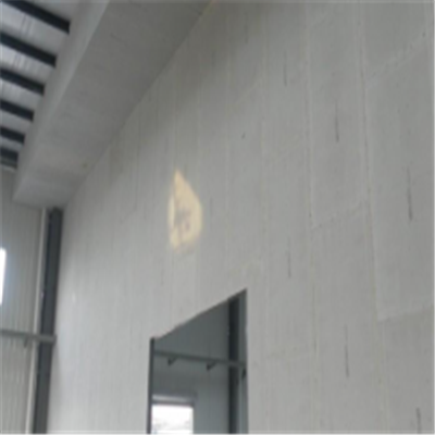 南明宁波ALC板|EPS加气板隔墙与混凝土整浇联接的实验研讨